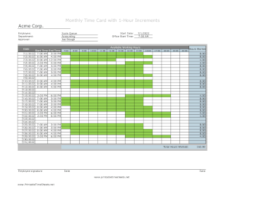 1-Hour Timesheet Monthly With Visual