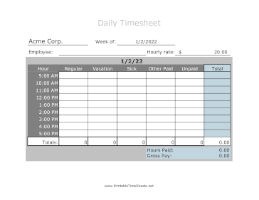 Hourly Timesheet Daily Large Print