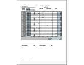 Monthly Timesheet (vertical orientation, work hours entered directly)
