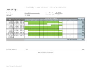 1-Hour Timesheet Biweekly With Visual