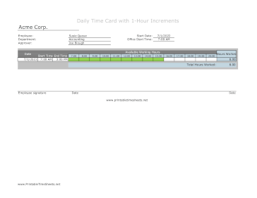 1-Hour Timesheet Daily With Visual