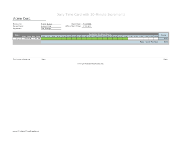 30-Minute Timesheet Daily With Visual