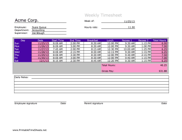 Babysitting Timesheet