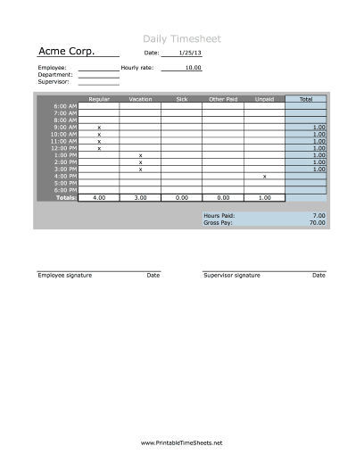 Hourly Timesheet Daily