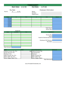 Monthly-Vertical-Timesheet With Expenses