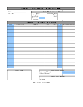 Probation Community Service Log Monthly